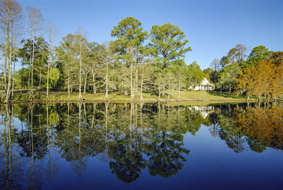 Quiet lakeside scenery near Slidell, LA, with reflections of trees on the water