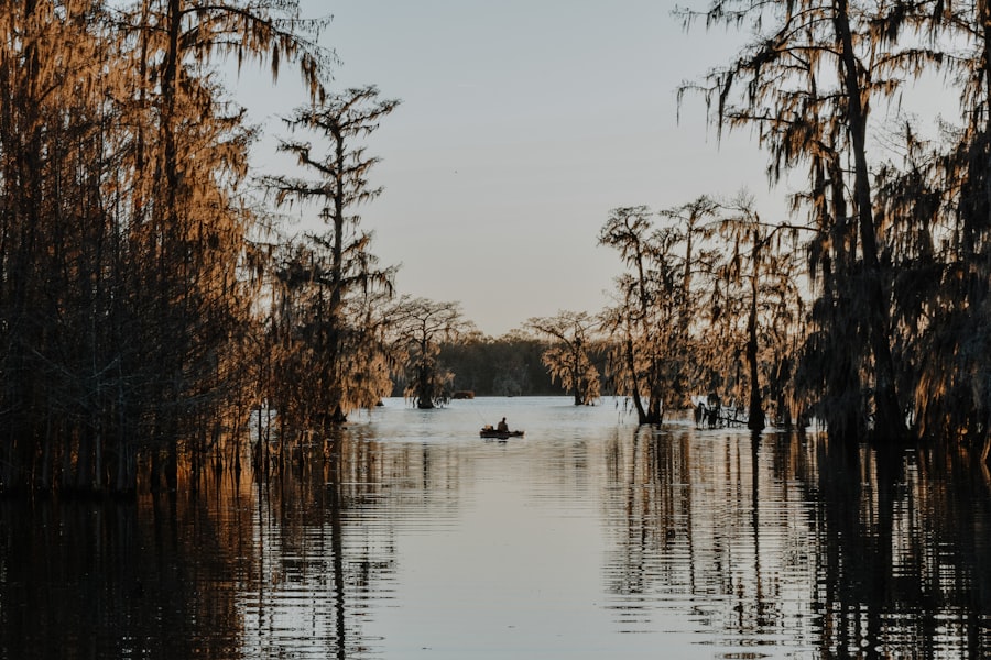 Golden-hour cypress swamp in Louisiana's bayou country near Tangipahoa Parish