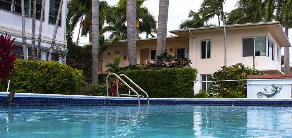 Backyard pool bordered by palms and a two-storey home on a bright day