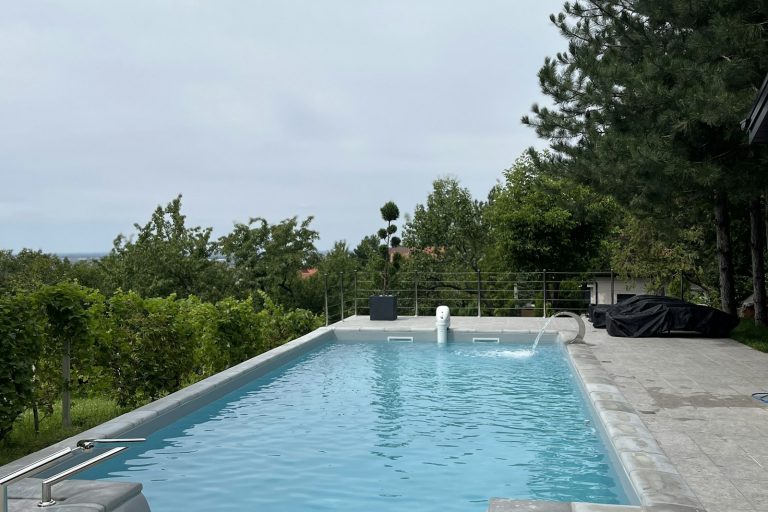 Rectangular backyard pool with stone coping and a planted boundary on a compact lot