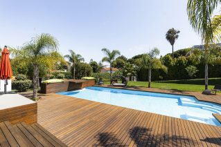 Backyard pool with a wide timber deck, palms and lounge seating on a sunny day