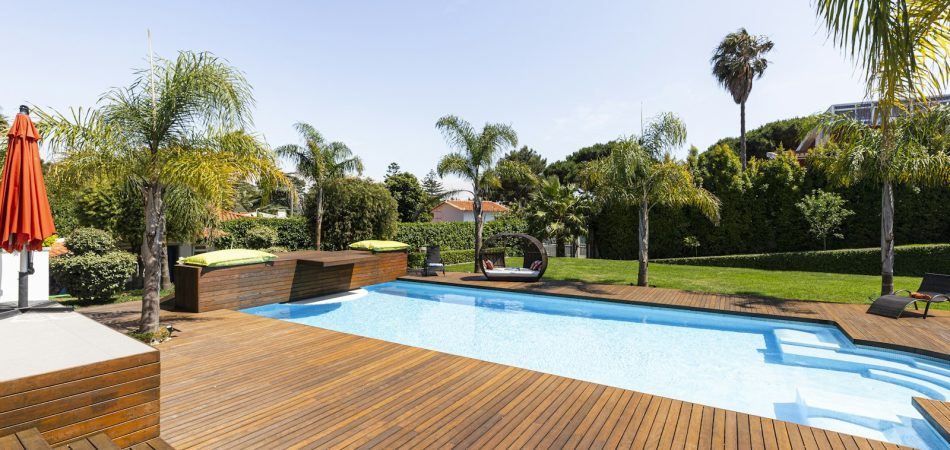 Backyard pool with a wide timber deck, palms and lounge seating on a sunny day