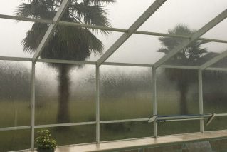 Palm trees seen through a screened pool enclosure during heavy rain