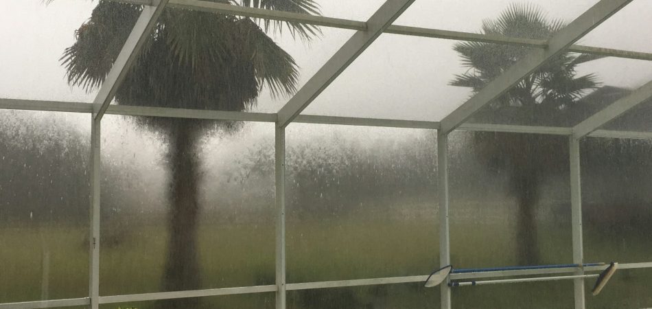 Palm trees seen through a screened pool enclosure during heavy rain